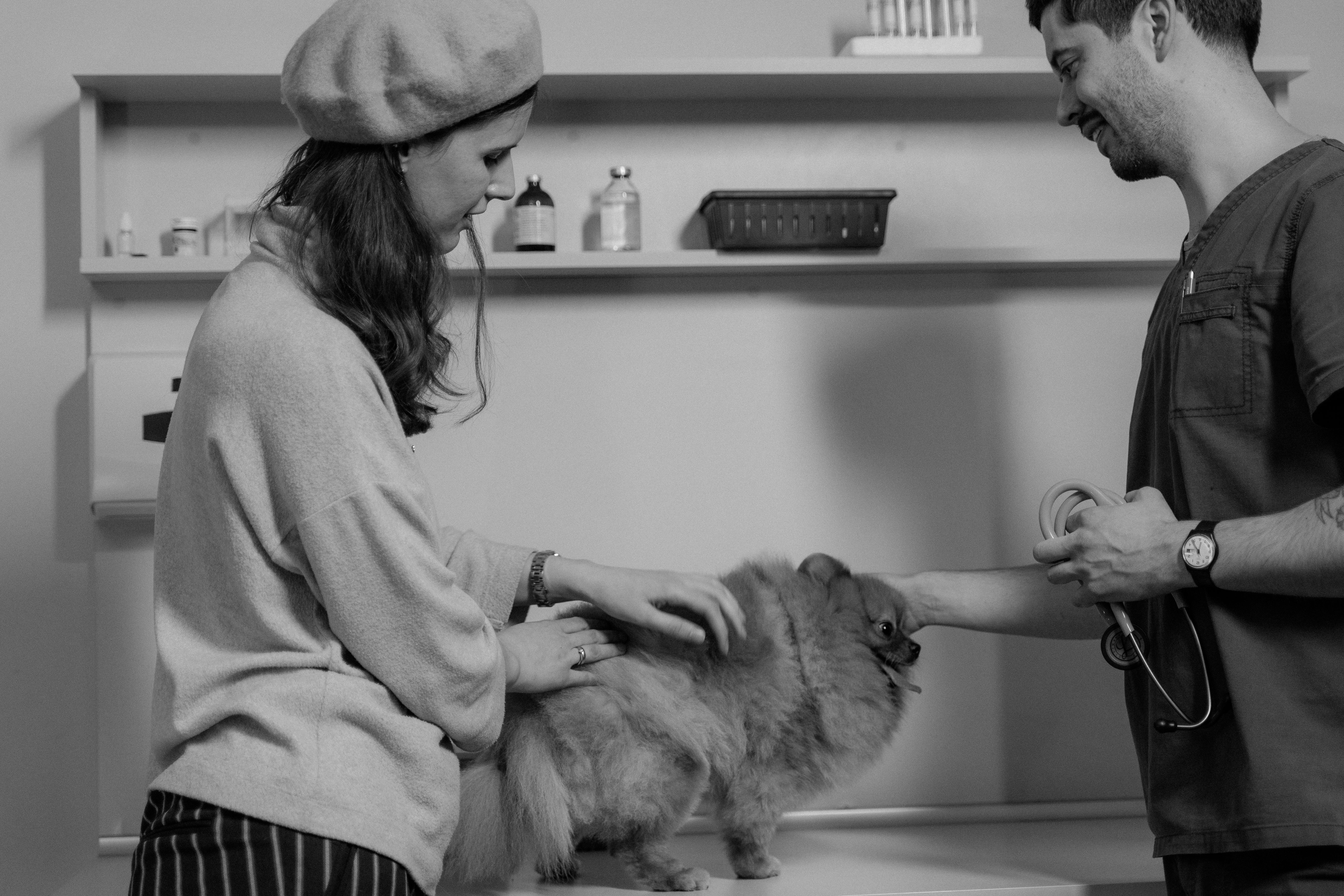 A veterinarian carefully examining a dog on an examination table, with the pet owner observing, symbolizing the critical role of veterinary care costs in pet insurance decisions.